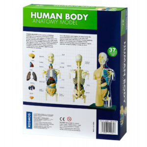 Kit STEM Anatomia corpului uman Thames & Kosmos