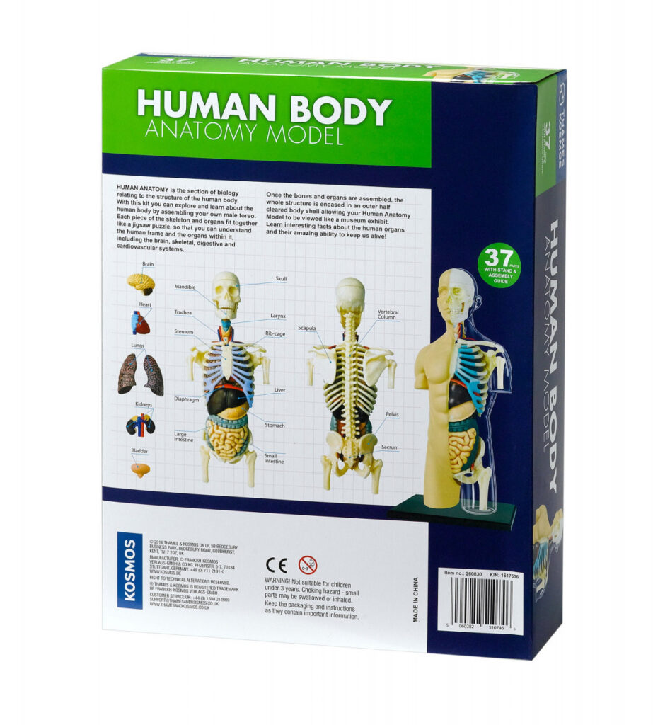 Kit STEM Anatomia corpului uman Thames & Kosmos